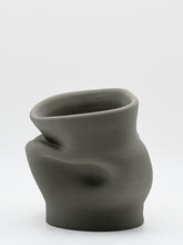 Load image into Gallery viewer, VA008